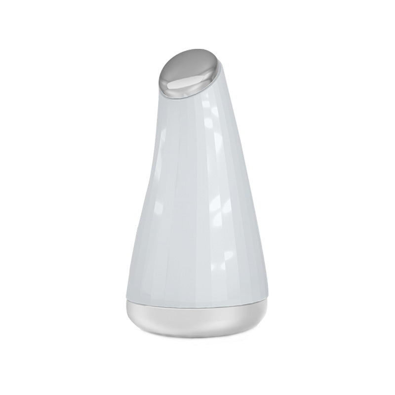 Portable Facial Cooling Ice Beauty Tool