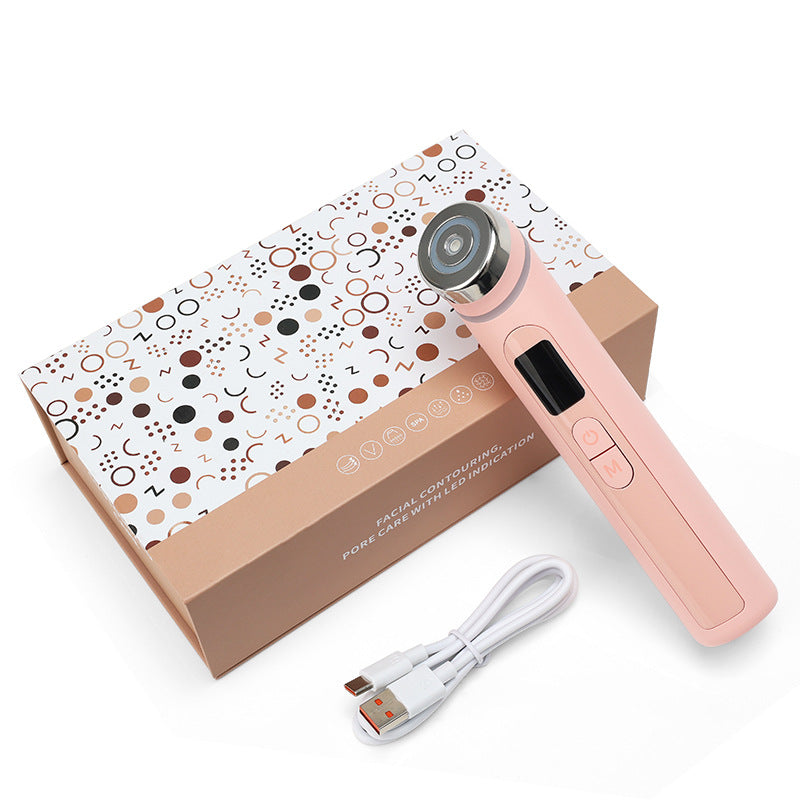 4-Color Light Facial Beauty Device